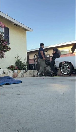 LS 6.0 and 4L80E Swap into Chevy Nova | Full Engine & Transmission Install #nova #6.0 #ls #lsswap