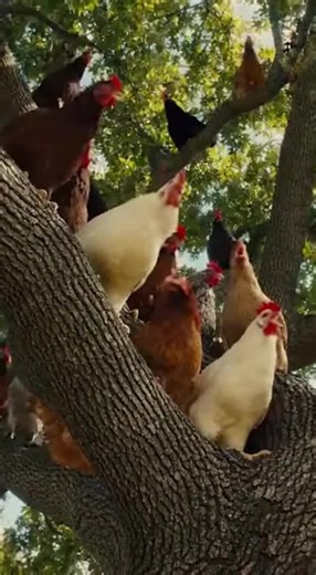 typicalfilms (@typicalfilms)’s videos with original sound - typicalfilms