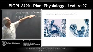 BIOPL3420 - Plant Physiology - Lecture(1)