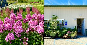 About Us — Ocean Wholesale Nursery