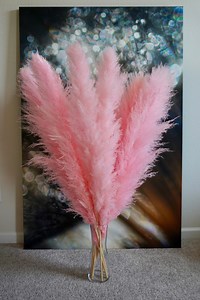 Pink Pampas Grass (3FT): Boho Home Decor - Etsy