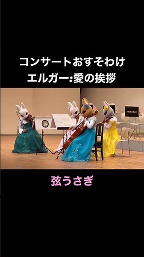 コンサートおすそわけ エルガー：愛の挨拶 #弦うさぎ #ズーラシアンブラス