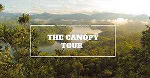 The Canopy Tour