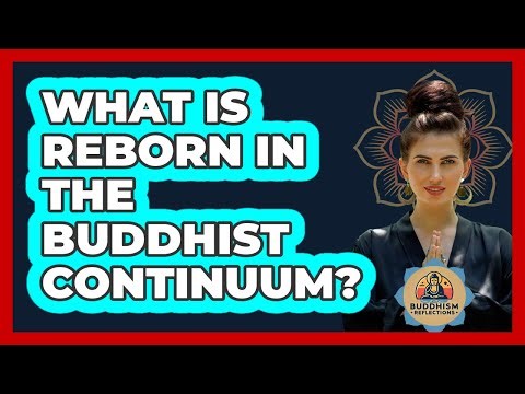 What Is Reborn In The Buddhist Continuum?