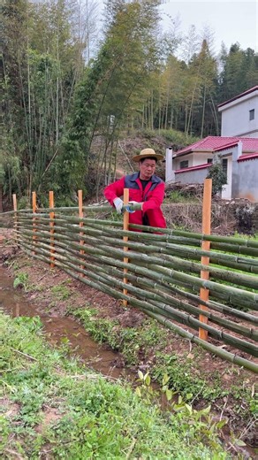 Split Bamboo Fence Technique, You Can DIY After Watching