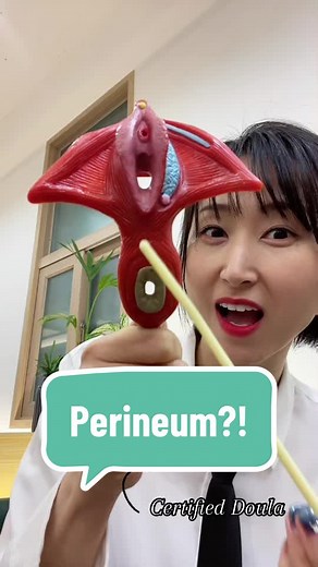Perineum is like the resilient band ♾️ stretching and adjusting to create space for the baby to make their entrance into the world. Although tearing could sometimes happen, the resilience of the perineum is a testament to the body’s incredible flexibility and adaptability during after birth. #firsttimemom #pregnant #pregnancy #birth #birthprep #perineum #doula #ftm #childbirth