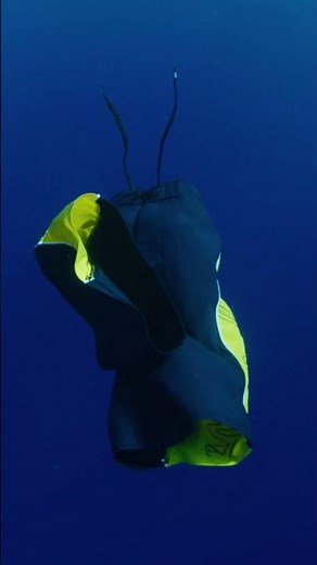 Testing the Mirage Panel Beater Boardshort so you don't have to.