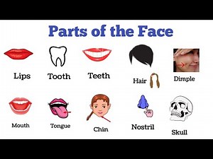 parts of the face Vocabulary | Daily use Vocabulary | Vocabulary