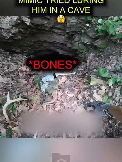 This Hiker Encountered A Mimic In The Cave... | what does a mimic look like