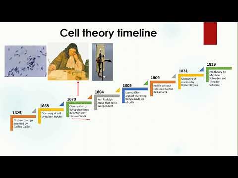 Cell Theory Timeline | Biology