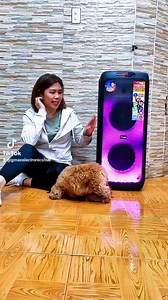 G320:Kapag rest day kasama lng si dBAudio PartyBox 210🎤💃 at Race🐕 Sapat Na! Copyright Disclaimer Under Section 107 of the Copyright Act 1976, allowance is made for "fair use" for purposes such as criticism, commenting, news reporting, teaching, scholarship, and research. Fair use is a use permitted by copyright statute that might otherwise be infringing. Non-profit, educational or personal use tips the balance in favour of fair use. No copyright infringement intended for entertainment purpose