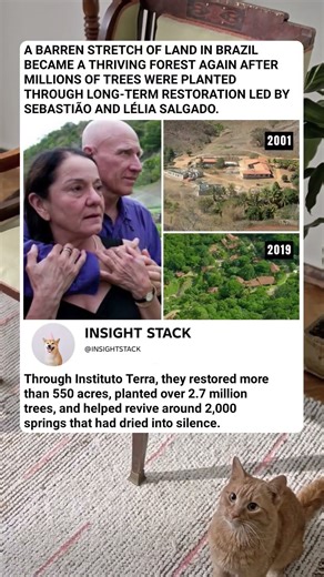 How They Turned a BARREN Wasteland into a Thriving Forest (Brazil's Incredible Restoration)