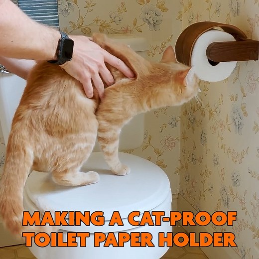 Check Out How I Made a Cat-Proof Toilet Paper Holder!!! 😾 | I Like To Make Stuff