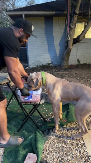 Dog Feeding Time: 8 Pounds of Healthy Dog Food!