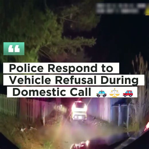 Refusing Lawful Orders During a Police Call Can Escalate Quickly 🚓⚠️ Officers responding to a domestic dispute faced a difficult situation when a driver declined to follow clear instructions, raising safety and legal concerns. Watch to learn why compliance, de escalation, and understanding police procedures matter in high risk encounters 👀 #KnowYourRights #PublicSafety #PoliceProcedures #LegalAwareness #police #cops #Camscope | I Can’t Breathe Files