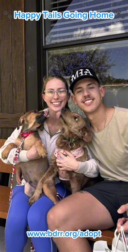 Another week, another round of Happy Tails! 🐾 Thank you to all the families who chose to adopt from Big Dog Ranch Rescue. Every adoption means another life saved and a second chance for more pups to find their way to safety. 💕 When you adopt, you’re not just gaining a companion—you’re helping us continue our mission of saving lives and giving every dog a bright future. Ready to meet your new best friend? Check out our adoptable pups at www.bdrr.org/adopt and fill out your application today! 🐶