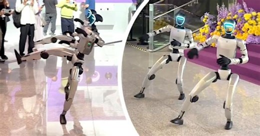 Kung fu robots dazzle crowds with martial arts skills in China