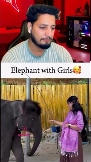 Elephant With Girls 🤪😂 #shorts #memes #funny #viral