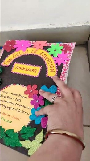 b.ed lesson plan file decoration