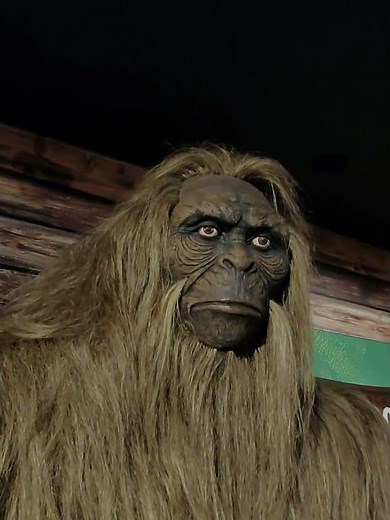 This Shouldn't Exist #bigfoot #weird #florida