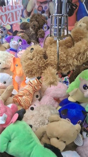 Winning a brown Teddy(A&A) at the Walmart coin machine for 50 cents while listening to shrimp #teddy