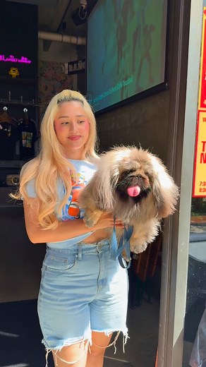 21 reactions | When you join us for @drinkwithyourdog brewery manners...