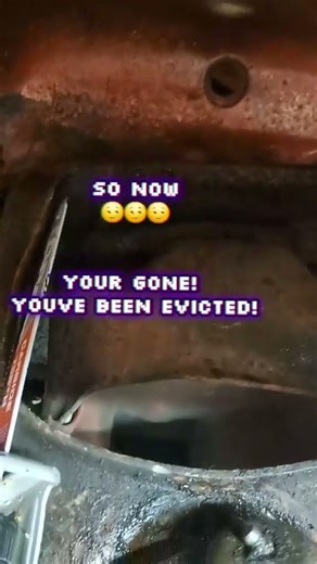 I Did Warn It.... #cars #fyp #mechanic #ford #mustang #rust #work #restoration #rebuild #automobile