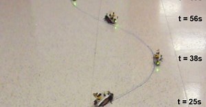 Scientists develop remote control system for cockroaches