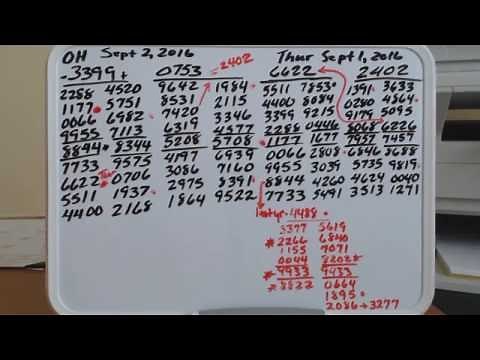 PICK 4 WORKOUT/LOTTERY DETECTIVE 224