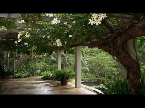 30 Tropical Pergola Ideas for a Relaxing Backyard | DIY Pergola & Landscaping Inspiration