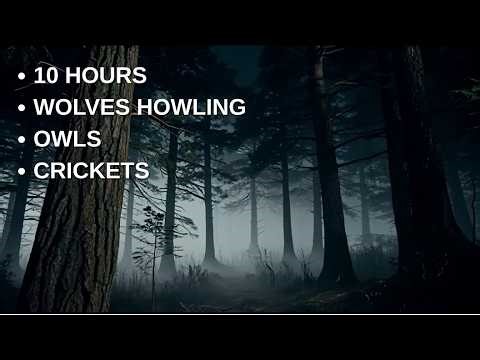 10 Hours Night Forest Sounds | Deep Sleep & Relaxing Nature Ambience