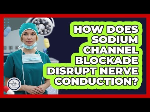 How Does Sodium Channel Blockade Disrupt Nerve Conduction?