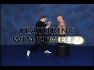 Combat Sanshou - Part 1: Striking