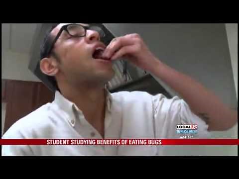 Student Studying Benefits of Eating Bugs