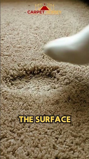 Moisture Hides Inside CLEANED Carpets That You Never Know!