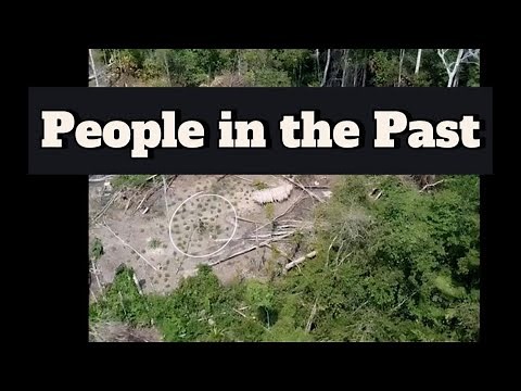 Rare Footage of the Largest Uncontacted Tribe: A Looming Disaster in the Amazon