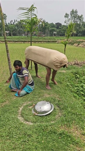 A cow came and turned the pot upside down.79108#funny