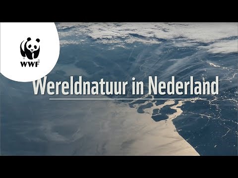 Wereldnatuur: 3 redenen waarom Nederland unieke natuur heeft