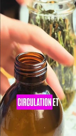 What if your garden became your natural pharmacy? 🌿 Rosemary macerated oil is a must-have!