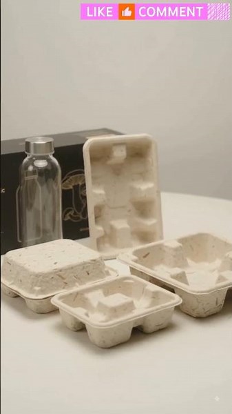 🍄 Mushroom Waste से Eco-Friendly Packaging! 🍄 | Waste to Wonder