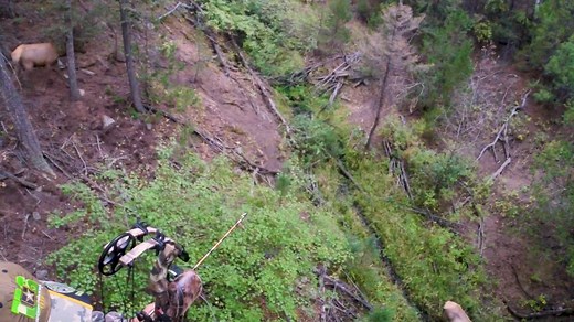 Hunting season is here, and FWP needs new CWD samples! Montana hunters, it’s up to us to safeguard the future of our wildlife. Chronic Wasting Disease (CWD) poses a serious threat to our deer, elk, and moose populations, but together, we can help stop its spread. A few reminders this hunting season: 🔍 Stop at a sampling station: Get your deer, elk, or moose tested for CWD, especially if you hunt in priority areas. Sampling is free, and the data we receive helps protect our herds and the Montana