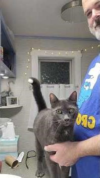 Mr. Neo the Purrrrr Bucket! ❤️😍 #purr #purrfect #purring #purringcat #catstory #snuggles