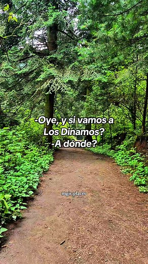 Explora Los Dinamos: Bosque y Miradores de Ensueño