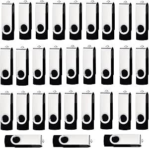 4GB Flash Drives 20 Pack Bulk Flash Drive Pack Wholesale USB2.0 USB Flash Drive 4GB USB Thumb Drive Pack USB Drive Pack Pen Drive (Black)