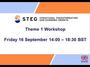STEG Theme 1 Workshop 2022