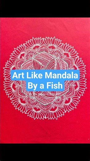 Nature’s Mandala: A Tiny Fish Creates Perfect Geometric Art Underwater #mandalaart #shorts