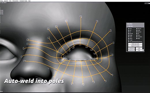 Draw Mesh StreamLine tool 超强拓扑