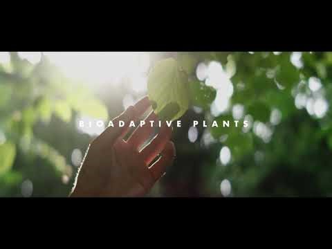 Nu Skin Nutricentials Bioadaptive Skincare ｜ LUXOREE