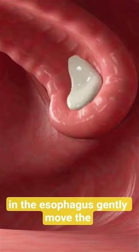 Milk Benefits 🥛 | Strong Bones & Daily Nutrition Boost!#healthtips #shortvideo #healthfacts