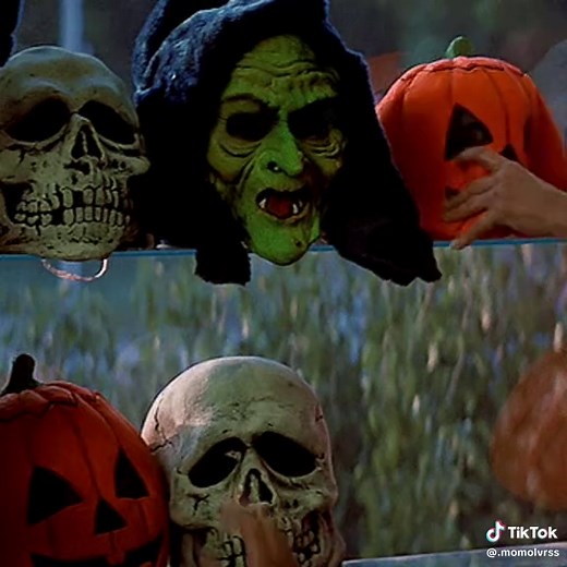 Embracing Fall Aesthetic: GIFs and Vibes
